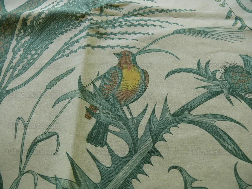 BY YD BRUNSCHWIG & FILS BIRD & THISTLE PRINT GREEN MSRP$196/Y