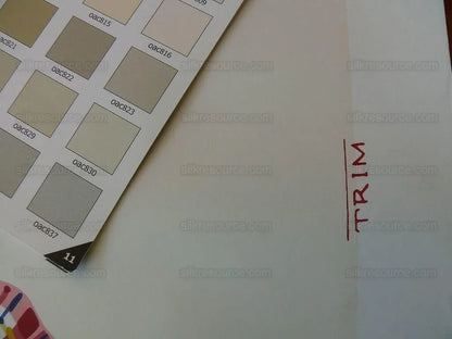 5yd Tromp L'oeil! Scalamandre Lilabeth's Ribbon Wallpaper Single Roll