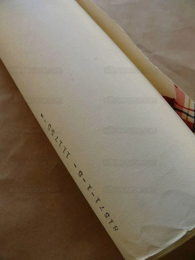 5yd Tromp L'oeil! Scalamandre Lilabeth's Ribbon Wallpaper Single Roll