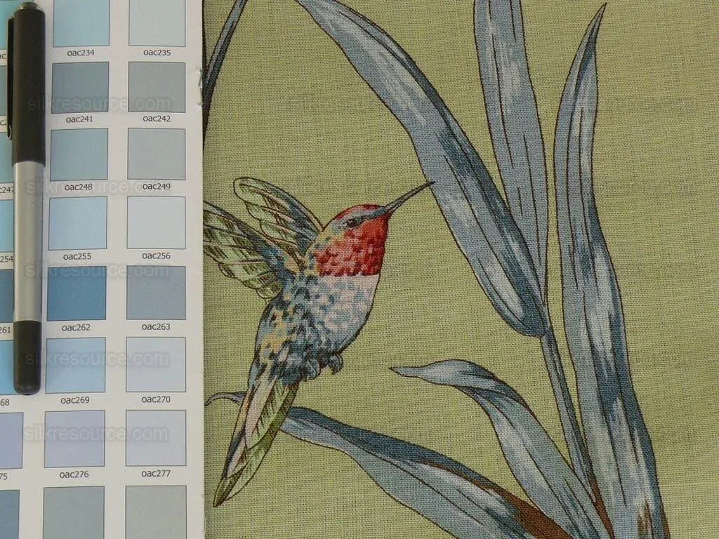 Scalamandre Birds Of A Feather Hummingbird Frog Butterfly Tropic