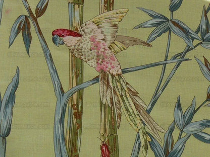 Scalamandre Birds Of A Feather Hummingbird Frog Butterfly Tropic