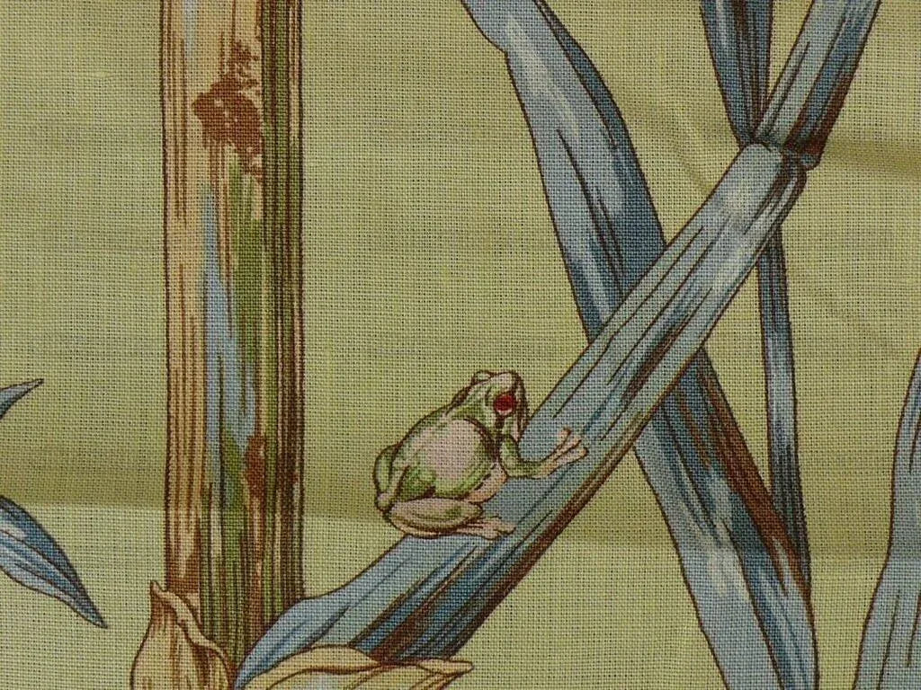 Scalamandre Birds Of A Feather Hummingbird Frog Butterfly Tropic