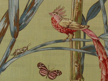 Scalamandre Birds Of A Feather Hummingbird Frog Butterfly Tropic