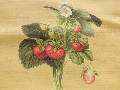 By Vertical Repeat 40 Inches Scalamandre Les Fruits Multi on Maize Grape Strawberry Cherry Plum Pear Blue MSRP USD 220/Y