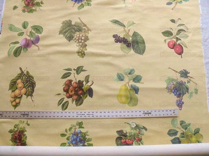 By Vertical Repeat 40 Inches Scalamandre Les Fruits Multi on Maize Grape Strawberry Cherry Plum Pear Blue MSRP USD 220/Y