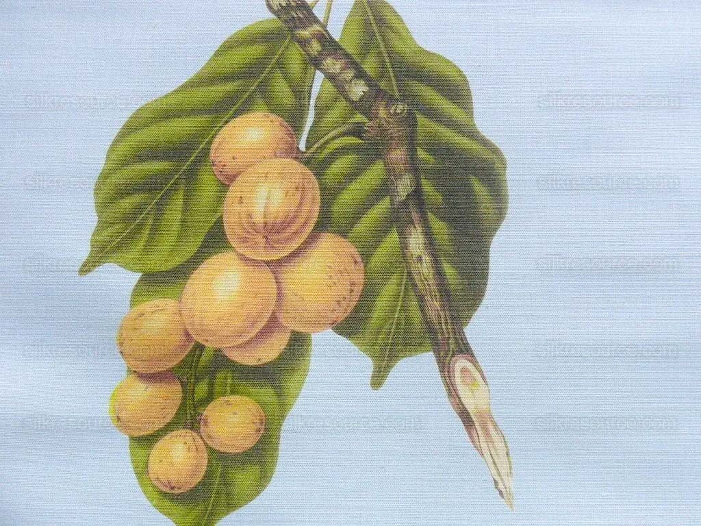 By Vertical Repeat 40 Inches Scalamandre Les Fruits Multi on Sky Blue Grape Strawberry Cherry Plum Pear Blue MSRP USD 220/Y