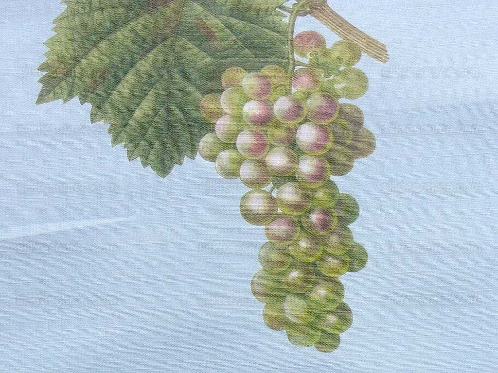 By Vertical Repeat 40 Inches Scalamandre Les Fruits Multi on Sky Blue Grape Strawberry Cherry Plum Pear Blue MSRP USD 220/Y