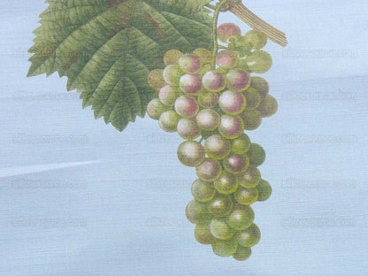 By Vertical Repeat 40 Inches Scalamandre Les Fruits Multi on Sky Blue Grape Strawberry Cherry Plum Pear Blue MSRP USD 220/Y