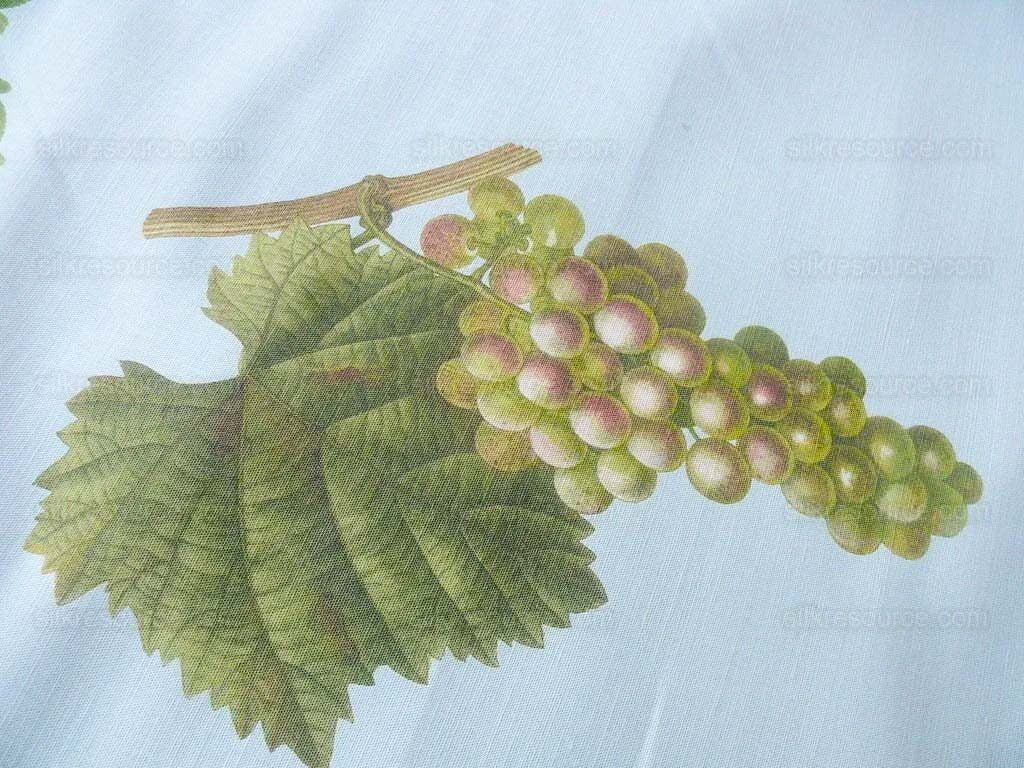 By Vertical Repeat 40 Inches Scalamandre Les Fruits Multi on Sky Blue Grape Strawberry Cherry Plum Pear Blue MSRP USD 220/Y