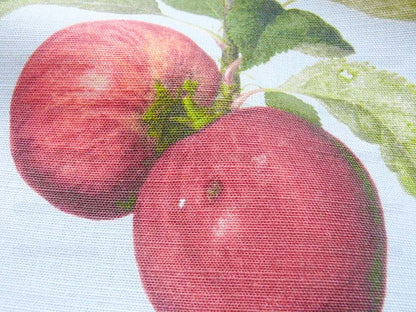 By Vertical Repeat 40 Inches Scalamandre Les Fruits Multi on Sky Blue Grape Strawberry Cherry Plum Pear Blue MSRP USD 220/Y