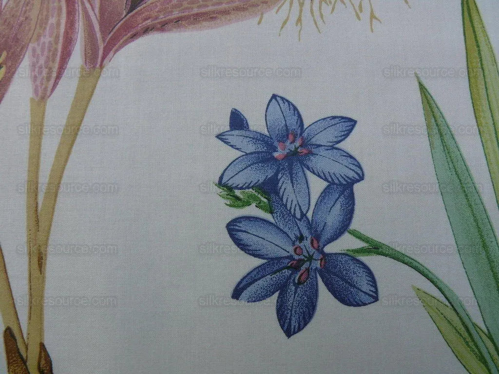 2.25y Scalamandre Les Fleurs Flower Gardens Gw-white MSRP