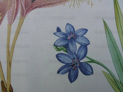 2.25y Scalamandre Les Fleurs Flower Gardens Gw-white MSRP