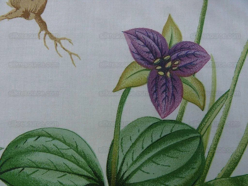 2.25y Scalamandre Les Fleurs Flower Gardens Gw-white MSRP