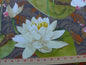 2Y SCALAMANDRE FONTHILLS NENUPHAR LOTUS POND KOI FISH MSRP196Y