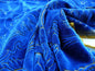 12Y SCALAMANDRE VELVET LES JARQUARDS BLUE MEDALLION MSRP$400/Y