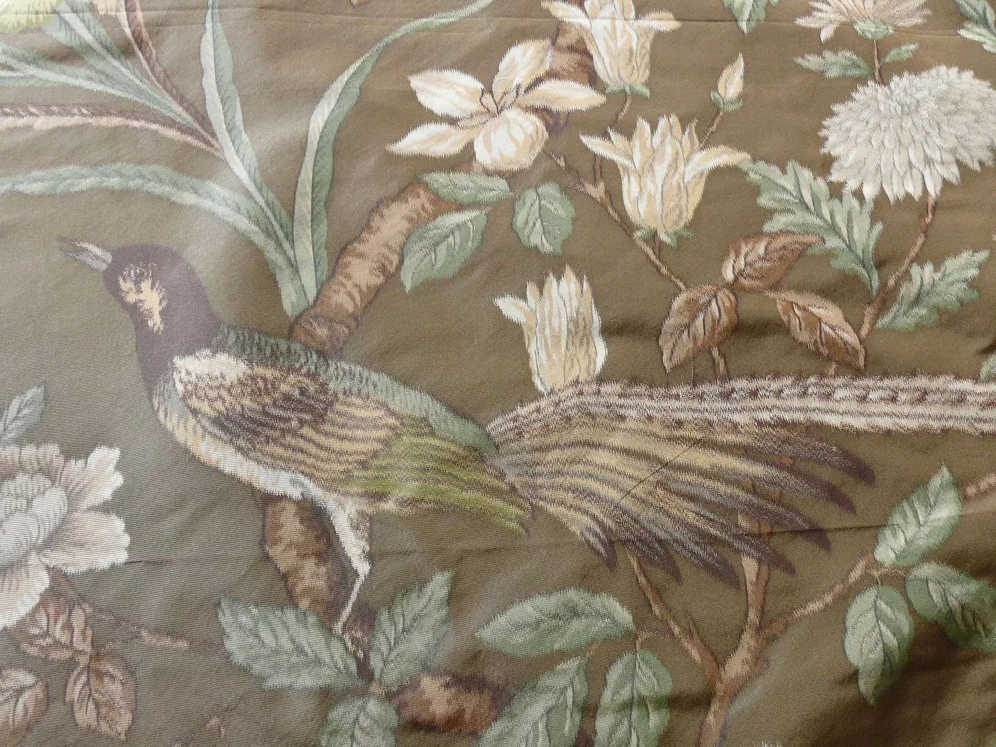 1.1y Scalamandre Oiseau des Exotique 100% Silk Warp Print Bird Brown Light Mocha