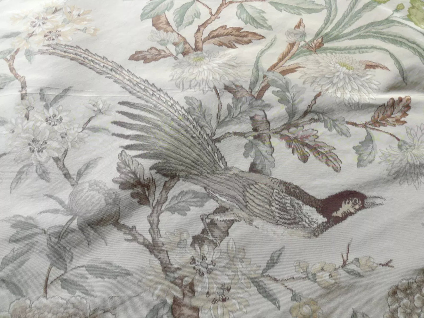 1.1y Scalamandre Oiseau des Exotique 100% Silk Warp Print Bird Beige Cream