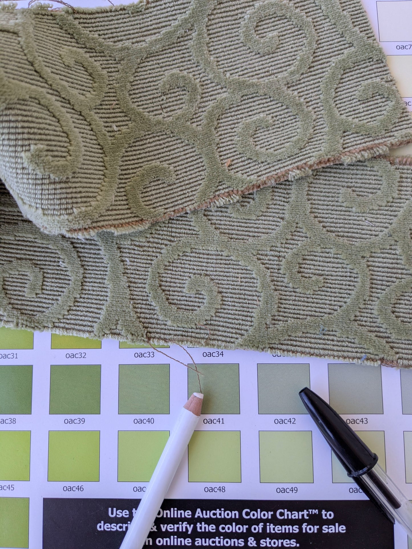 Scalamandre Arabesque Velvet Mint  Cut Velvet Flowy Fiddlehead Fern Scroll Green Cotton Heavy By The Yard - MSRP USD 240/yd