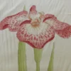 CLARENCE HOUSE MEIJI IRIS PRINT 27-COLORS on NATURAL