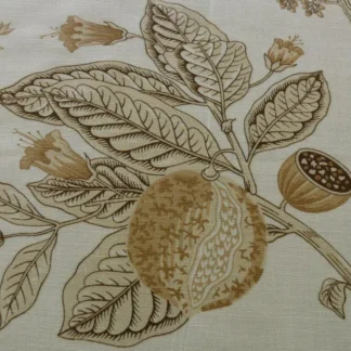 1.75Y CLARENCE HOUSE AVIGNON LINEN PRINT NATURAL GREY NATURAL