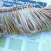 Scalamandre "Laurel" Loop Trim Coral Celery 100% silk MSRP 200+Y