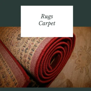 Shop Rugs and Carpet
