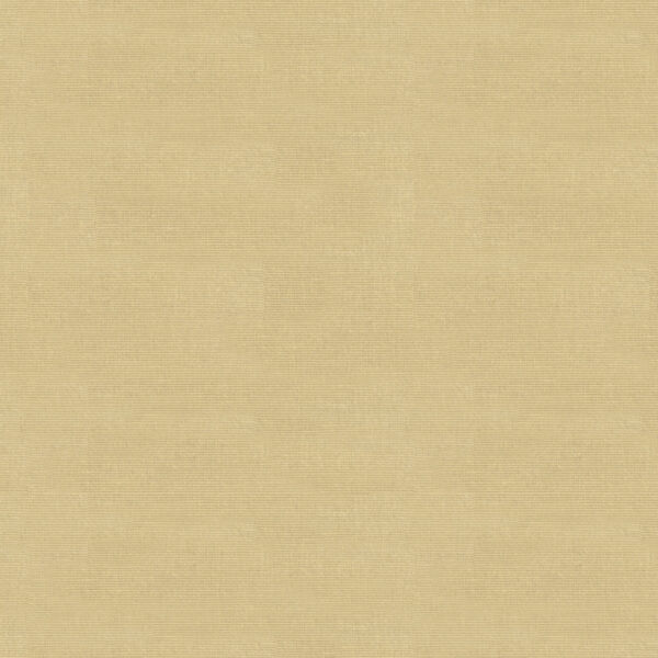Special Order Brunschwig & Fils Le Jardin Chinois Zina Moire - Cream Cotton